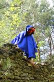 Promenons nous dans les bois 47 * 5184 x 3456 * (10.97MB)
